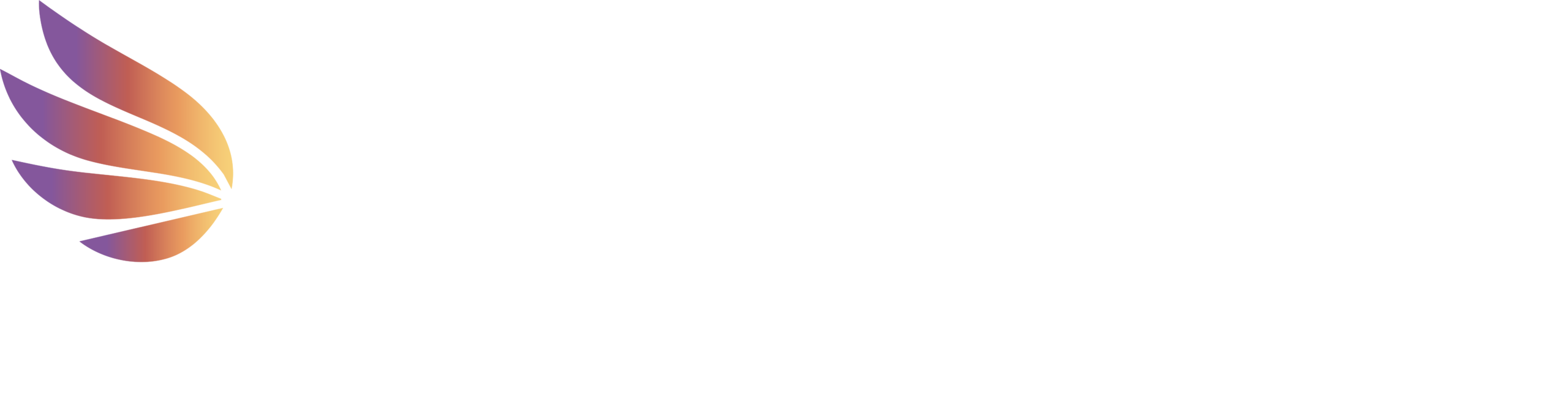 White Logo DO.ITCHANGE Method Logo on Transparent Background